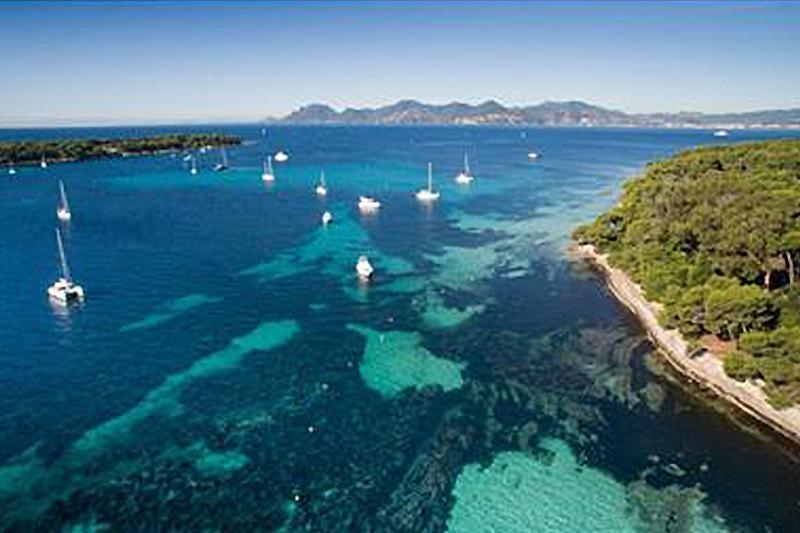 Beautiful And Cozy Apartment In The Heart Of Cannes Bagian luar foto
